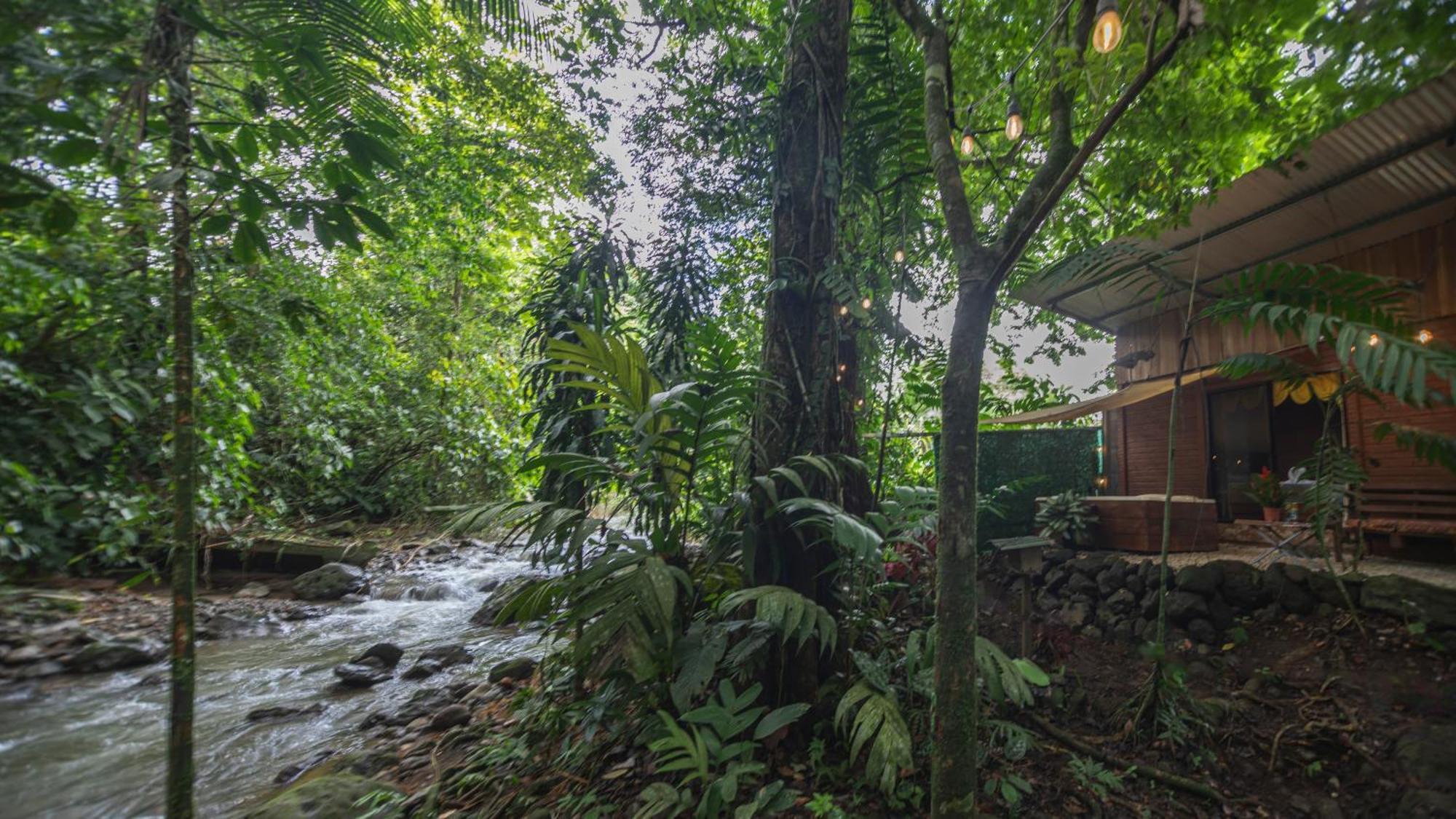 The Frog House Apartment La Fortuna Luaran gambar